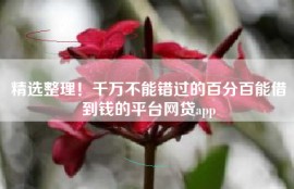 精选整理！千万不能错过的百分百能借到钱的平台网贷app