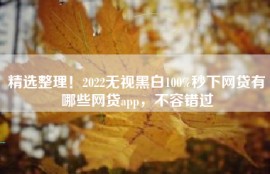 精选整理！2022无视黑白100%秒下网贷有哪些网贷app，不容错过