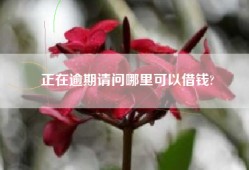 正在逾期请问哪里可以借钱?