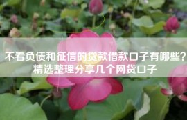 不看负债和征信的贷款借款口子有哪些？精选整理分享几个网贷口子
