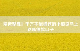 精选整理！千万不能错过的小额贷马上到账借款口子