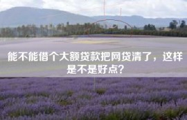 能不能借个大额贷款把网贷清了，这样是不是好点？