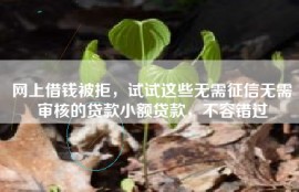 网上借钱被拒，试试这些无需征信无需审核的贷款小额贷款，不容错过