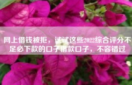 网上借钱被拒，试试这些2022综合评分不足必下款的口子借款口子，不容错过