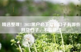 精选整理！2022黑户必下款的口子有哪些网贷口子，不容错过