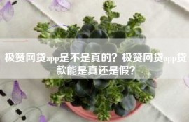 极赞网贷app是不是真的？极赞网贷app贷款能是真还是假？