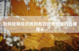 如何统筹经济质的有效提升和量的合理增长