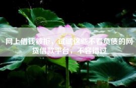 网上借钱被拒，试试这些不看负债的网贷借款平台，不容错过