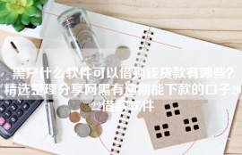 黑户什么软件可以借到钱贷款有哪些？精选整理分享网黑有逾期能下款的口子2022借款软件