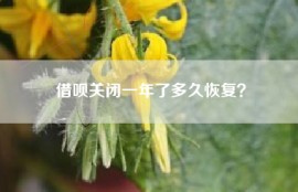 借呗关闭一年了多久恢复？