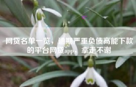 网贷名单一览，逾期严重负债高能下款的平台网贷app，拿走不谢