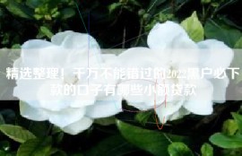 精选整理！千万不能错过的2022黑户必下款的口子有哪些小额贷款