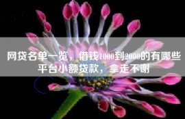 网贷名单一览，借钱1000到2000的有哪些平台小额贷款，拿走不谢