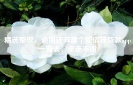 精选整理，逾期还有哪个能借钱贷款app一览表，拿走不谢