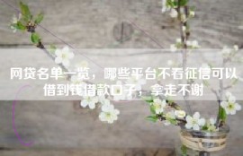 网贷名单一览，哪些平台不看征信可以借到钱借款口子，拿走不谢