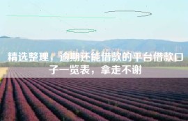 精选整理，逾期还能借款的平台借款口子一览表，拿走不谢
