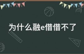 为什么融e借借不了