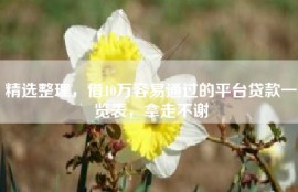 精选整理，借10万容易通过的平台贷款一览表，拿走不谢