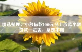 精选整理，小额借款1000元马上放款小额贷款一览表，拿走不谢