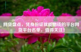 网贷盘点，凭身份证就能借钱的平台网贷平台名单，值得关注！