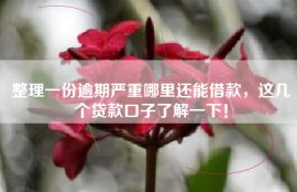 整理一份逾期严重哪里还能借款，这几个贷款口子了解一下！