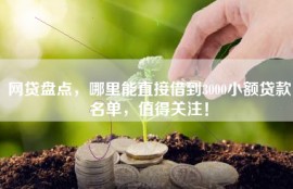 网贷盘点，哪里能直接借到3000小额贷款名单，值得关注！