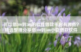 可以借300到500的软件借款平台有哪些？精选整理分享借300到500小贷借款软件