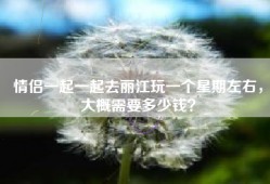 情侣一起一起去丽江玩一个星期左右，大概需要多少钱？
