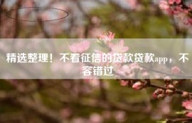 精选整理！不看征信的贷款贷款app，不容错过