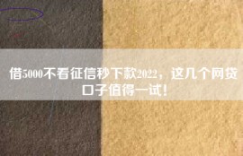 借5000不看征信秒下款2022，这几个网贷口子值得一试！