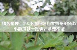 精选整理，2022不看征信和大数据的贷款小额贷款一览表，拿走不谢