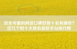 安全可靠的网贷口碑好前十名有哪些？这几个时十大良心贷款平台排行榜
