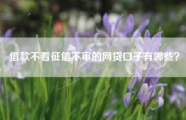 借款不看征信不审的网贷口子有哪些？