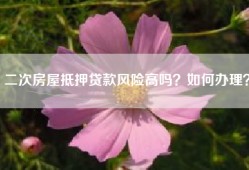 二次房屋抵押贷款风险高吗？如何办理？