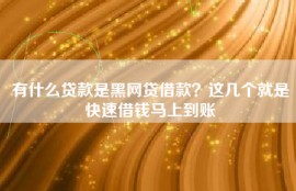 有什么贷款是黑网贷借款？这几个就是快速借钱马上到账