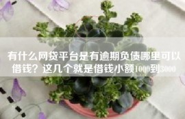 有什么网贷平台是有逾期负债哪里可以借钱？这几个就是借钱小额1000到3000
