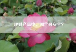 理财产品中，哪个最安全？