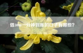 借3000—分钟到账的口子有哪些？