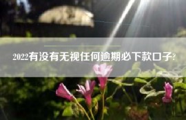2022有没有无视任何逾期必下款口子?