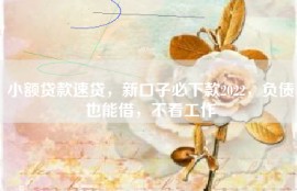 小额贷款速贷，新口子必下款2022，负债也能借，不看工作