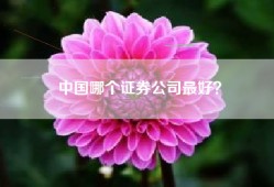 中国哪个证券公司最好？