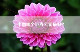 中国哪个证券公司最好？