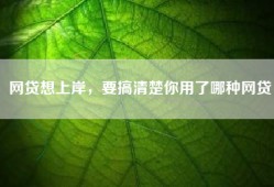 网贷想上岸，要搞清楚你用了哪种网贷