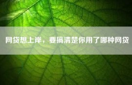 网贷想上岸，要搞清楚你用了哪种网贷