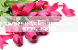 精选整理！什么网贷平台利息低比较正规贷款，不容错过