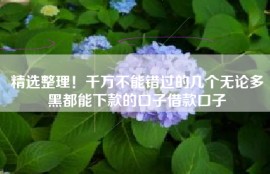 精选整理！千万不能错过的几个无论多黑都能下款的口子借款口子