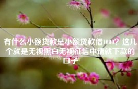 有什么小额贷款是小额贷款借1000？这几个就是无视黑白无视征信申请就下款的口子