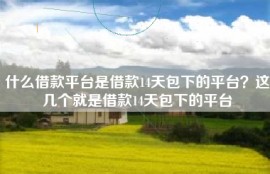 什么借款平台是借款14天包下的平台？这几个就是借款14天包下的平台