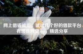 网上借钱被拒，试试几个好的借款平台有哪些网贷app，精选分享
