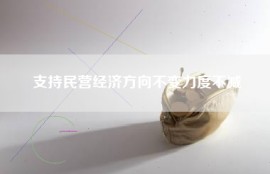 支持民营经济方向不变力度不减